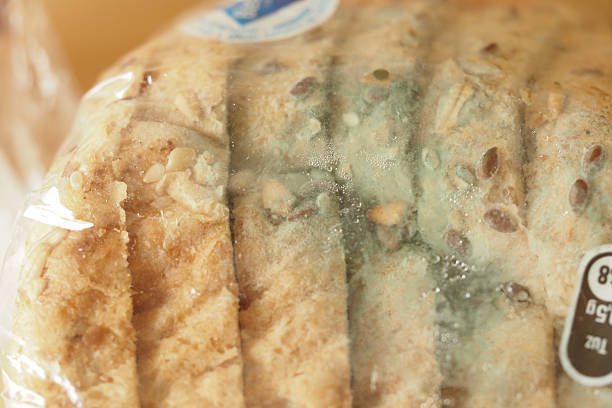 istock Bread with blue mold indicating spoilage in a packaged state 2229587349
