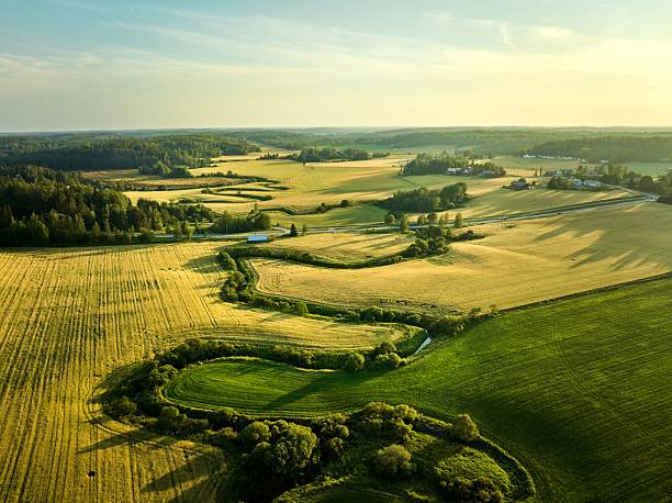 istock Aerial view of lush fields under clear sky. 2229587560
