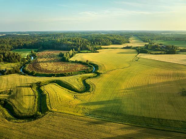 istock Aerial view of lush fields and winding river. 2229587567