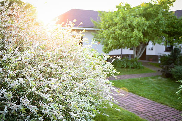 country house and garden