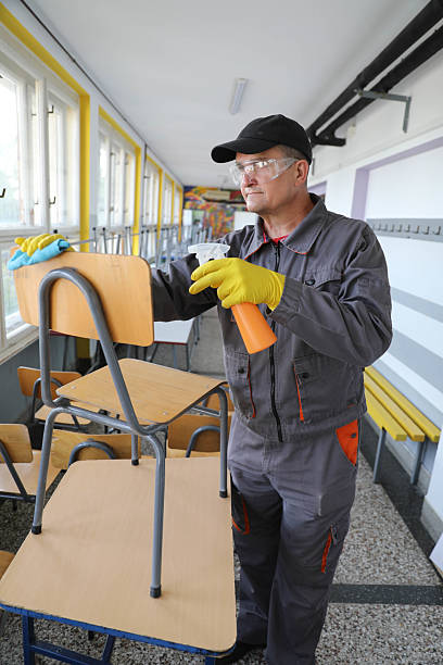 istock Older Worker Using Handheld Pump Sprayer to Clean Chairs in School 2229589967