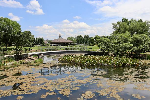 istock Wooden Bridge in the Park 2229592577