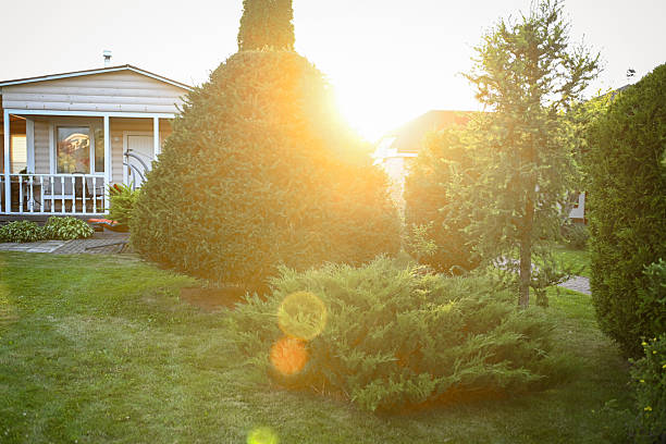 country house and garden