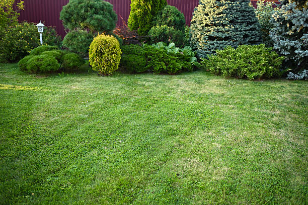 Two Adirondack chairsone red, one greensit side by side on a green lawn, offering a vibrant and peaceful setting for rest, reflection, and quiet conversation in the open air.