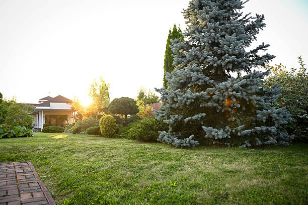 country house and garden