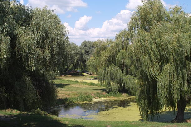 istock Smila city views and landscapes 2229600348