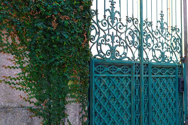 Beautiful garden scene featuring a blue wooden gate framed by lush green foliage, as sunlight filters through the leaves, creating a serene atmosphere. Captured in a natural garden in Denmark.