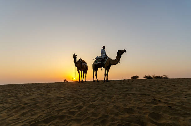 istock Indian Man Riding Camel During Sunrise at Thar Desert in Rajasthan 2229602926