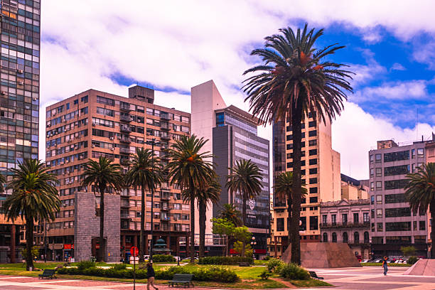 Montevideo, Uruguay - December 14, 2024: The graceful palm trees dot Independence Square in the afternoon sun.