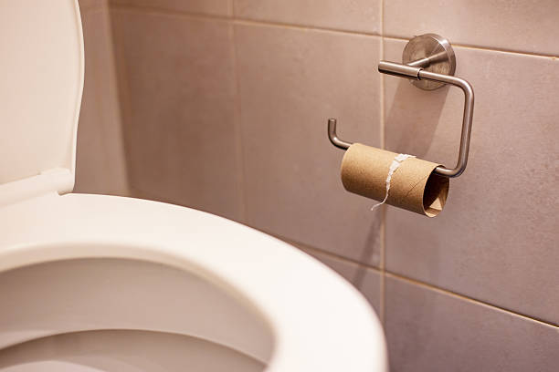 istock Empty Toilet Paper Roll A Bathroom Fixture with No Supply 2229605605