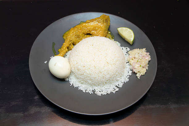Asian rice plate with chicken curry, boiled egg, lime wedge, and onion salad on dark plate side view