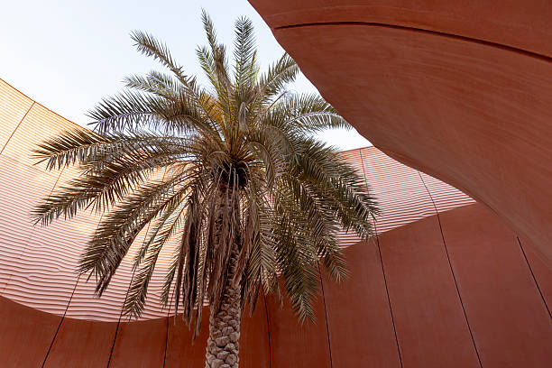 istock Palm tree in concrete structure in Masdar city, Abu Dhabi, UAE 2229608264