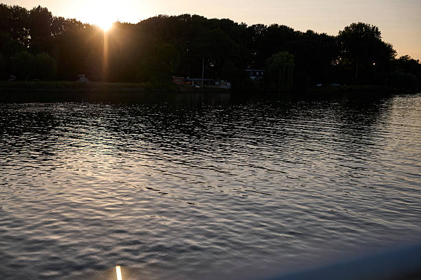 Tranquil scene of a sunset over a calm lake with gentle ripples, trees silhouetted against the sky