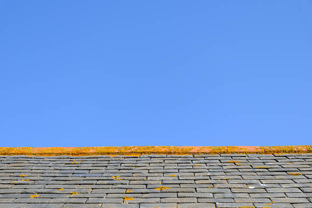 09 AUG 2025 - Lands End, Cornwall, UK - Old cornish buildings with slate and lichen covered roofs