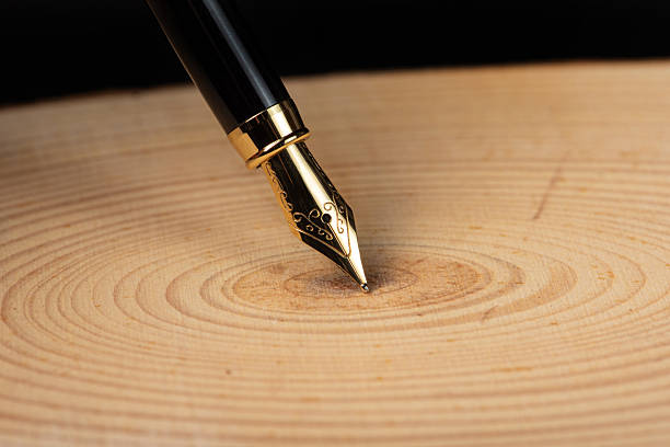 Fountain pen placed on a rustic wooden base and dark background, selective focus.