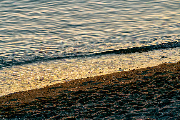 texture of the seashore at low tide at sunset, golden hour