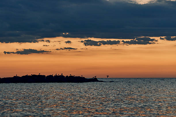 A serene sunset over the ocean with birds perched on rocks and a vibrant orange sky.
