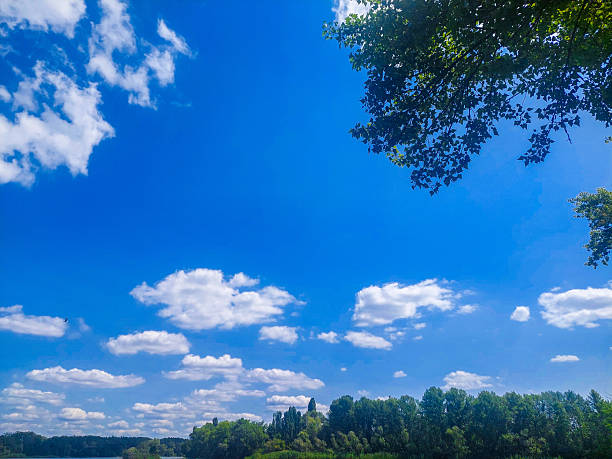 Blue sky with white clouds. Many trees with\nlush green foliage. Nature and harmony. A\nbright sunny day. Summer and warmth.