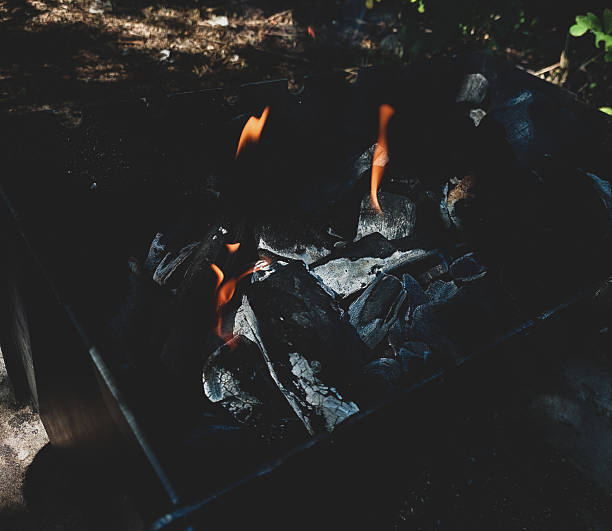 Black burning barbecue. Fire burning with\nwood. Relaxation and preparation for grilling\nmeat and vegetables. Harmony with nature\nand peacе.