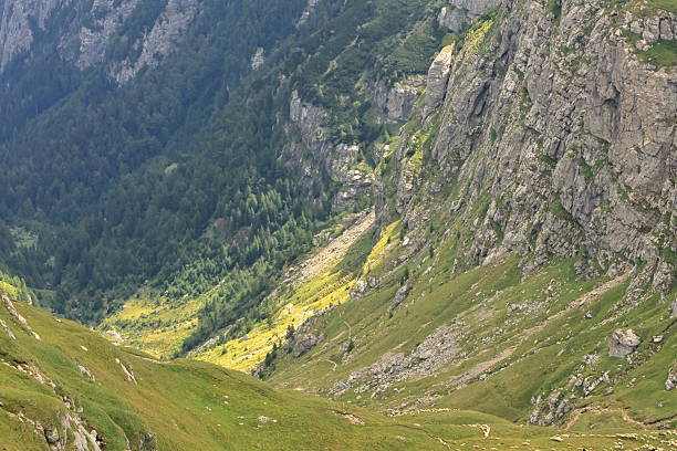 istock Majestic, deep and steep valley during summer 2229615400