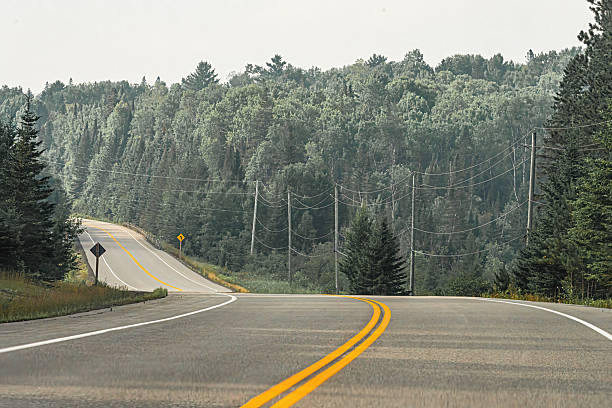 Image of Traveling view of road from side with pine trees and cloudy sky