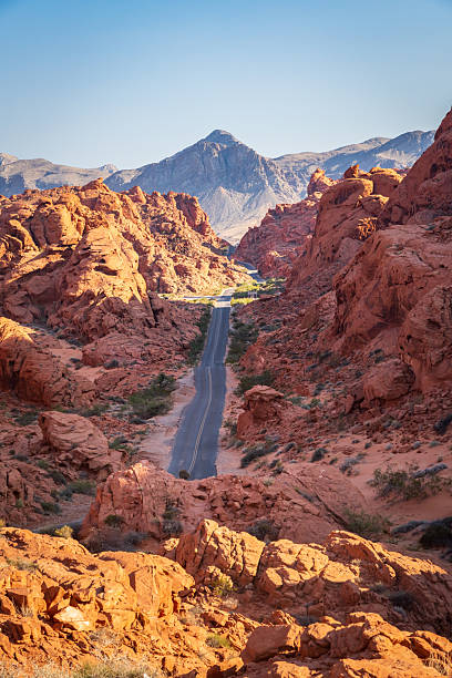 istock Mouses Tank Road through dramatic aztec sandstone formations in Valley of Fire state park 2229622163