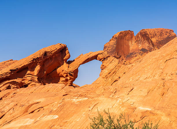 Elephant rock in the Valley of Fire near Las Vegas, Nevada, seen through a natural arch. Seen a hot summer day in the desert.