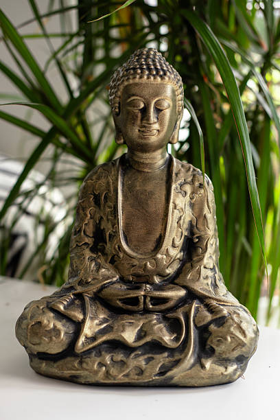 istock Peaceful bronze buddha statue with intricate detailing amidst indoor greenery 2229623906