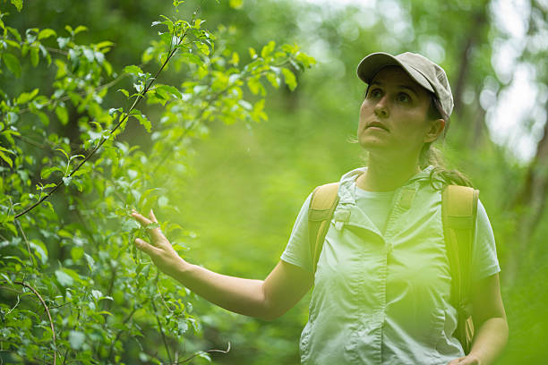 istock Female Hiker Exploring A Lush Green Forest Trail 2229628794