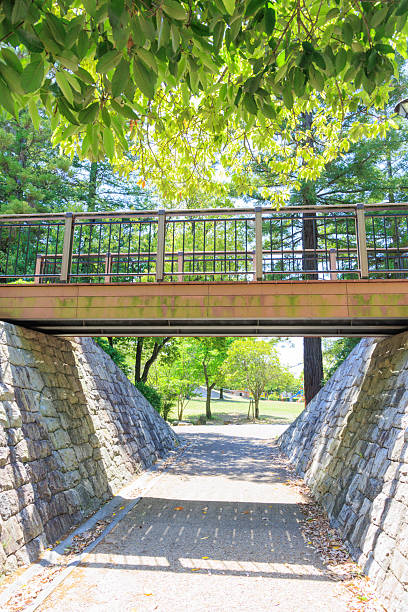 istock A bridge in a park surrounded by fresh greenery (Kakogawa, Hyogo Prefecture) 2229628837