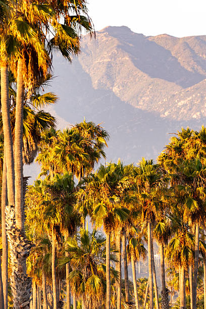 istock Sunset in Santa Barbara, California 2229635667