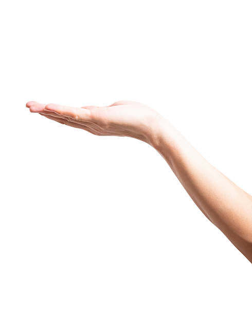 istock Male hand reach and ready to help or receive. Gesture isolated on white background. 2229639963