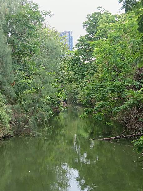 istock Lake in the shade 2229642620