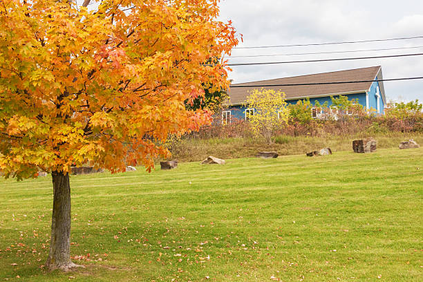 Beautiful park in fall with colored trees and picnic area with picnic tables
