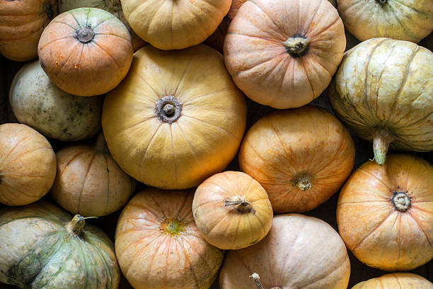 There are many different natural pumpkins.