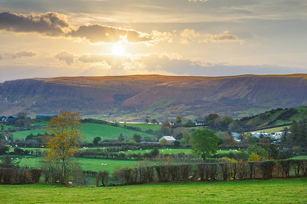 istock Rolling green farmland with sheep grazing under dramatic sunset sky - irish landscape 2229661912