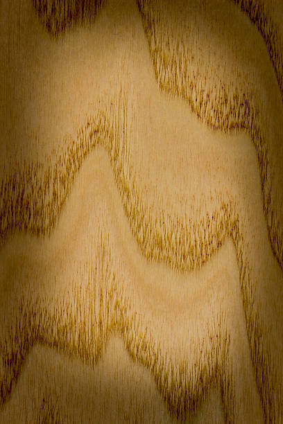 Plywood texture background, wooden surface in natural pattern for design art work.