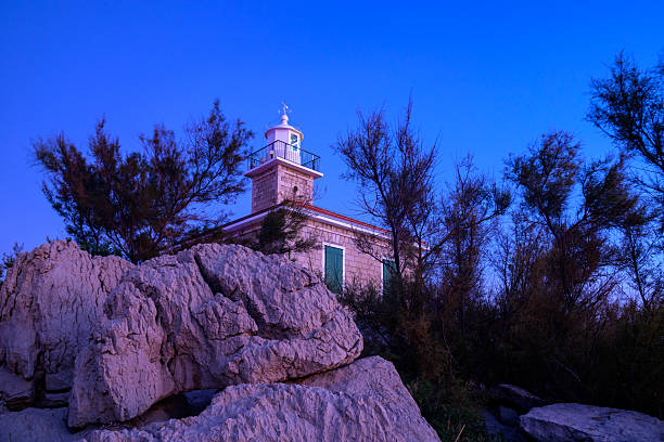 Lighthouse at dusk blue hour surrounded by coastal rocks and vegetation
