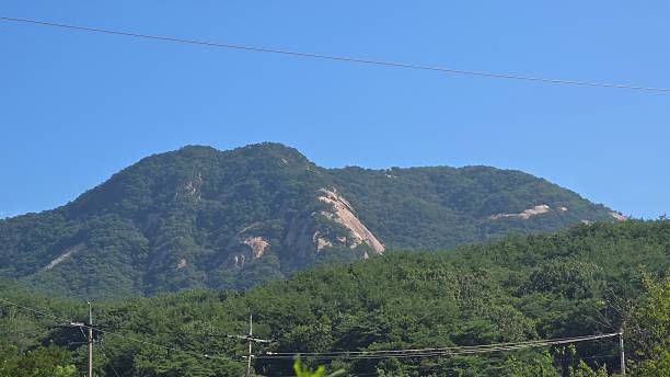Forest-covered mountain with rocky outcrops on a clear summer day