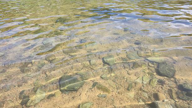 istock Clear shallow river with visible stones and pebbles on the riverbed 2229670510