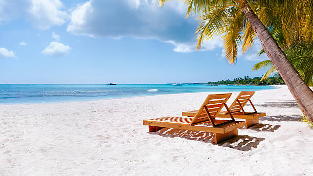 istock Tropical white sand beach with palms and sea 2229674121