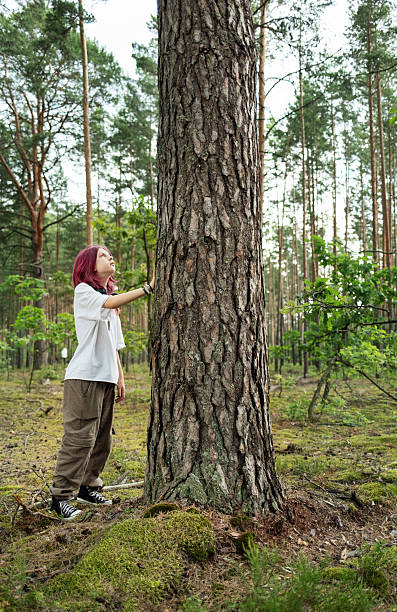 istock Young woman touching a large tree trunk in a pine forest, admiring nature 2229675483