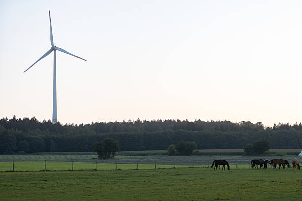 A wind turbine is a device that converts the kinetic energy of wind into electrical energy.