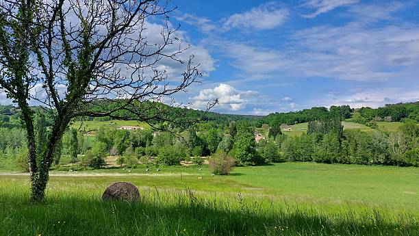istock green hayfields france 2229689475