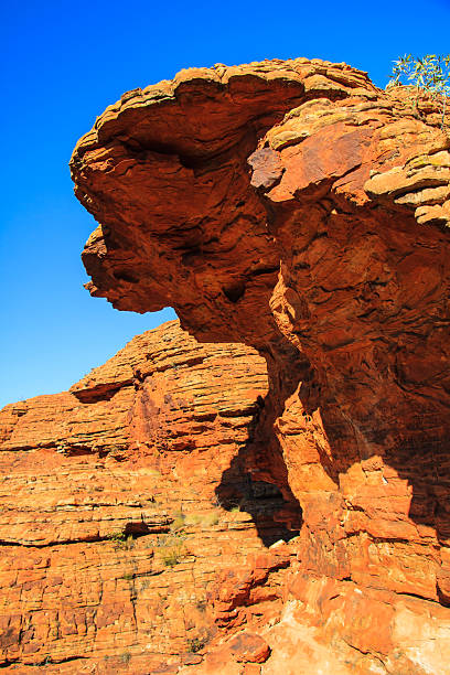 istock King's Canyon, Watarrka National Park, 2229693848