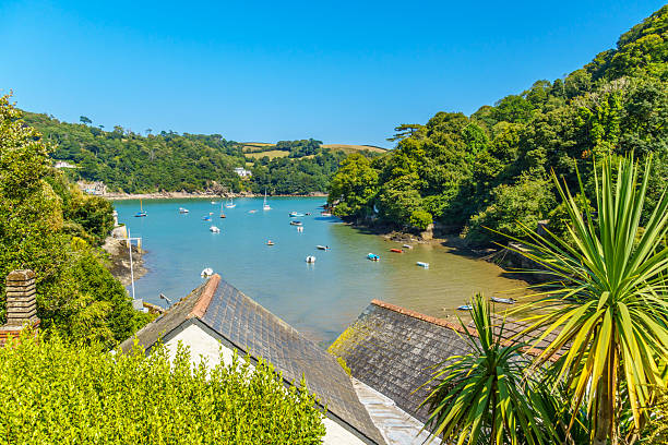 istock Subtropical plants grow in Dartmouth in Devon 2229696308