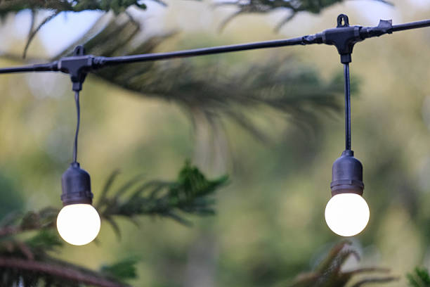 istock Light bulbs in the garden. 2229697833