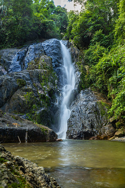istock Waterfall in deep tropical rainforest with green rainy tree 2229698362