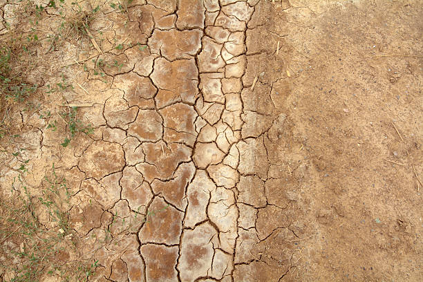 Detailed and abstract view of a dry ground, highlighting the concept of barrenness, heat, and environmental issues.
