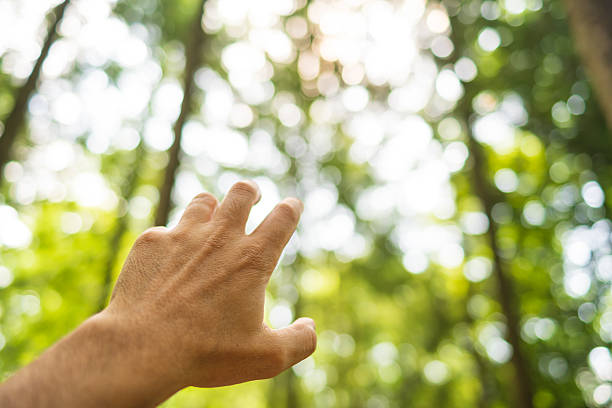 Caucasian male hand reaching upwards open hand gesture. Selective focus, bright forest nature background, sunny summer day, shallow depth of field, bokeh background